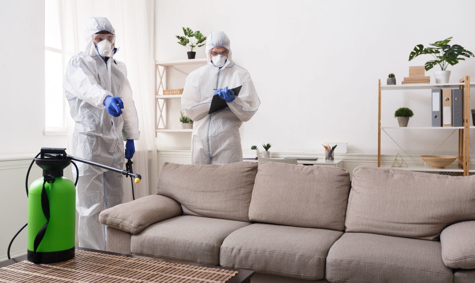 Pest Control Services: Creating a Healthy Living Environment