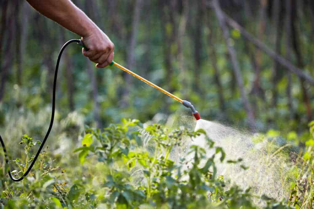 Commercial Pest Control: Best Practices for Prevention and Treatment